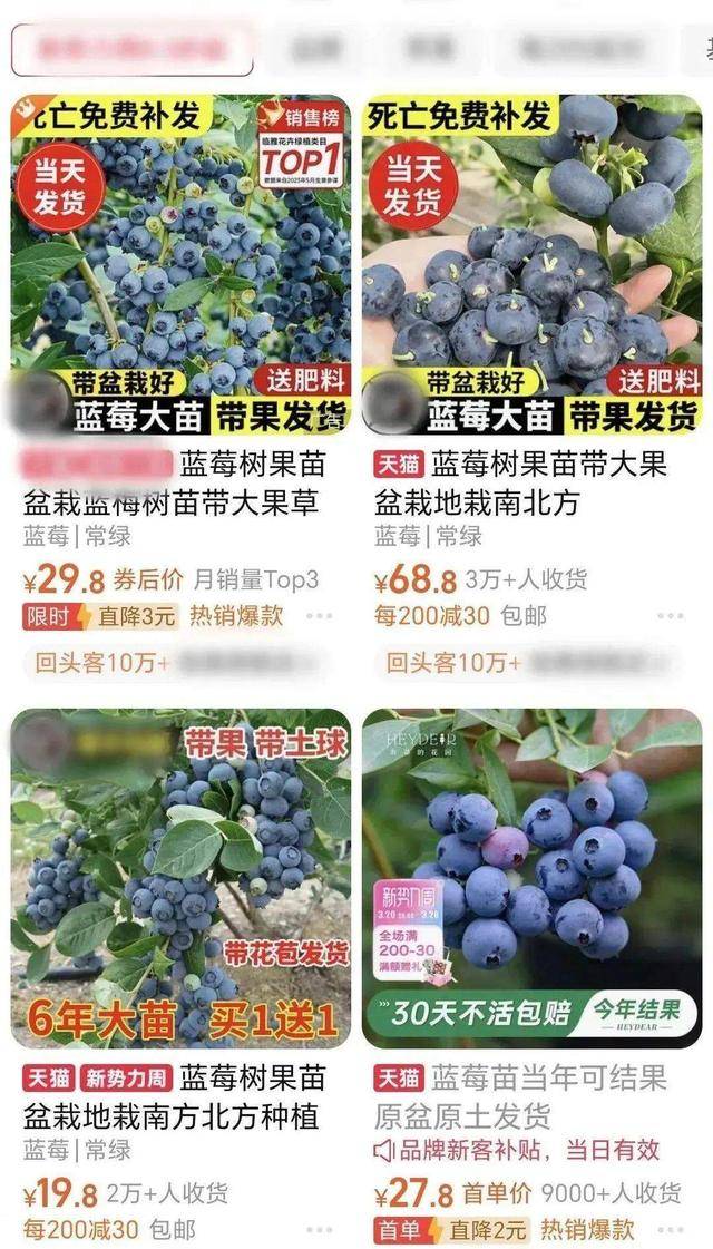 从上百元一斤到9.9元一盒，“网红水果”大降价