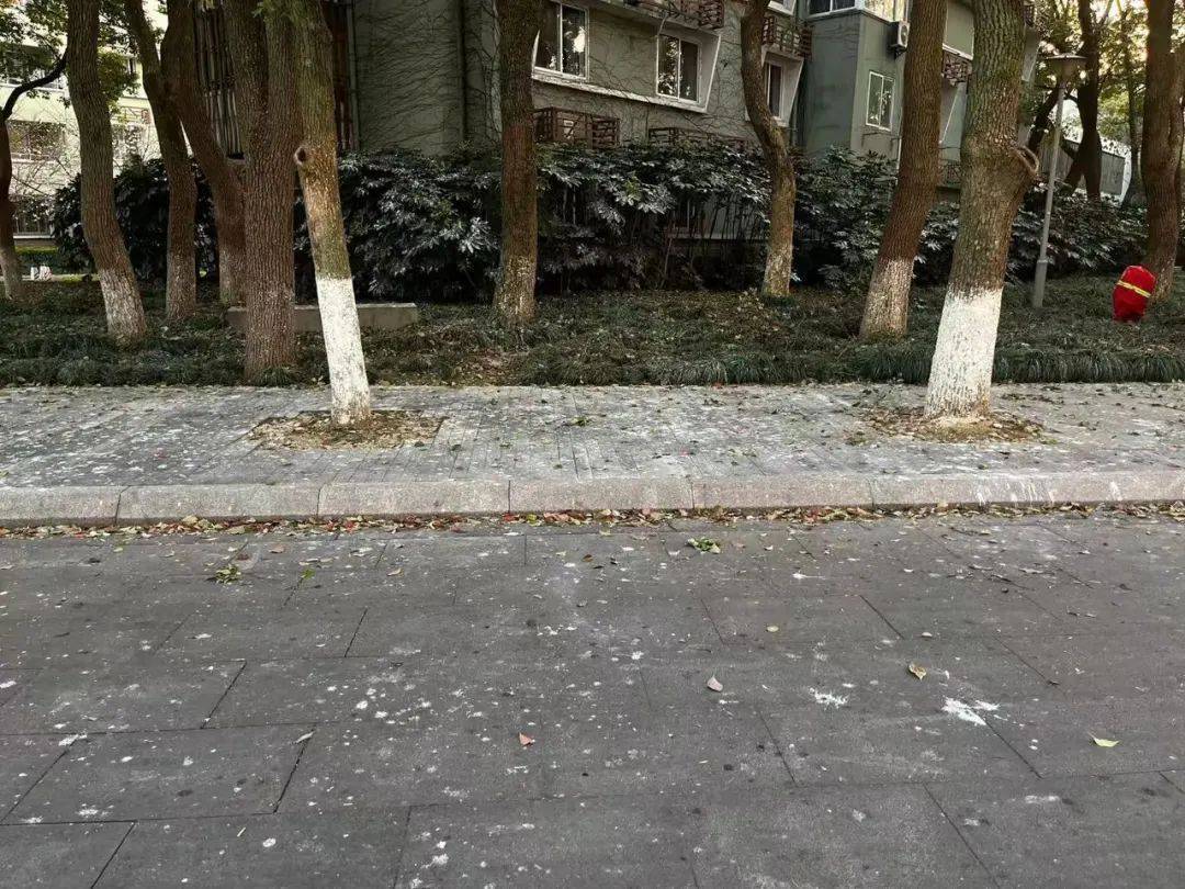 宁波“天屎之路”引热议，有人测算：55.4秒通过即可