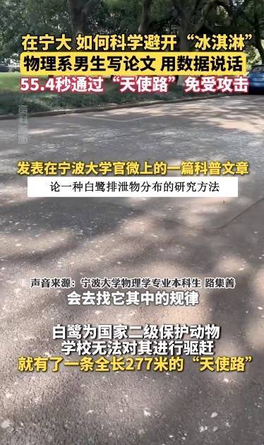 宁波“天屎之路”引热议，有人测算：55.4秒通过即可