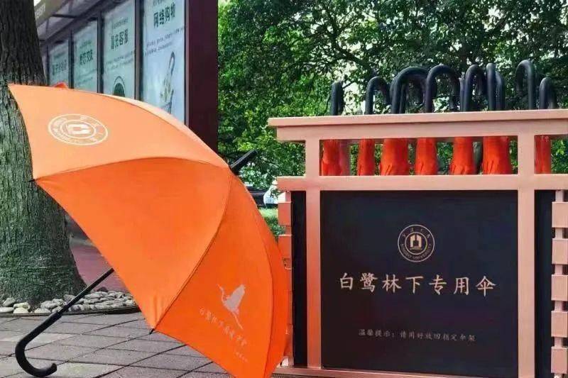 宁波“天屎之路”引热议，有人测算：55.4秒通过即可