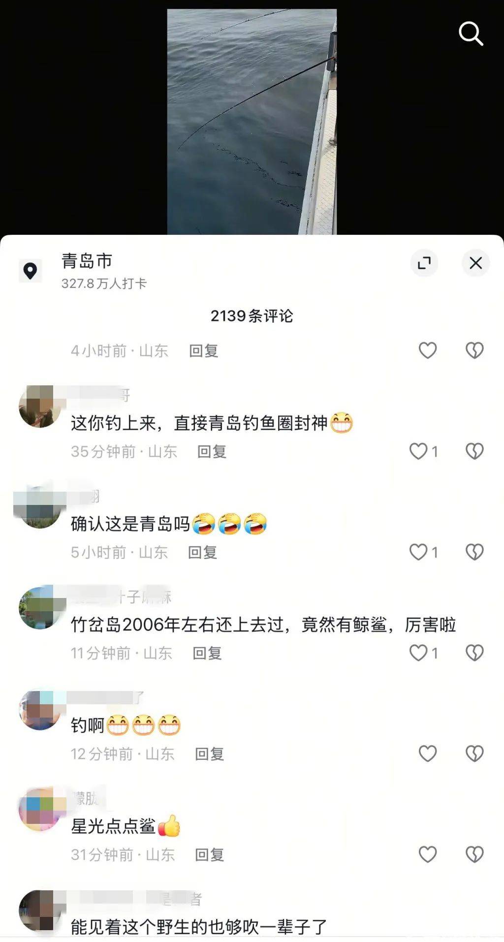青岛一海域惊现大鲸鲨，身长八九米！目击者：可以吹一辈子！