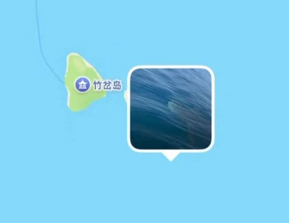 青岛一海域惊现大鲸鲨，身长八九米！目击者：可以吹一辈子！