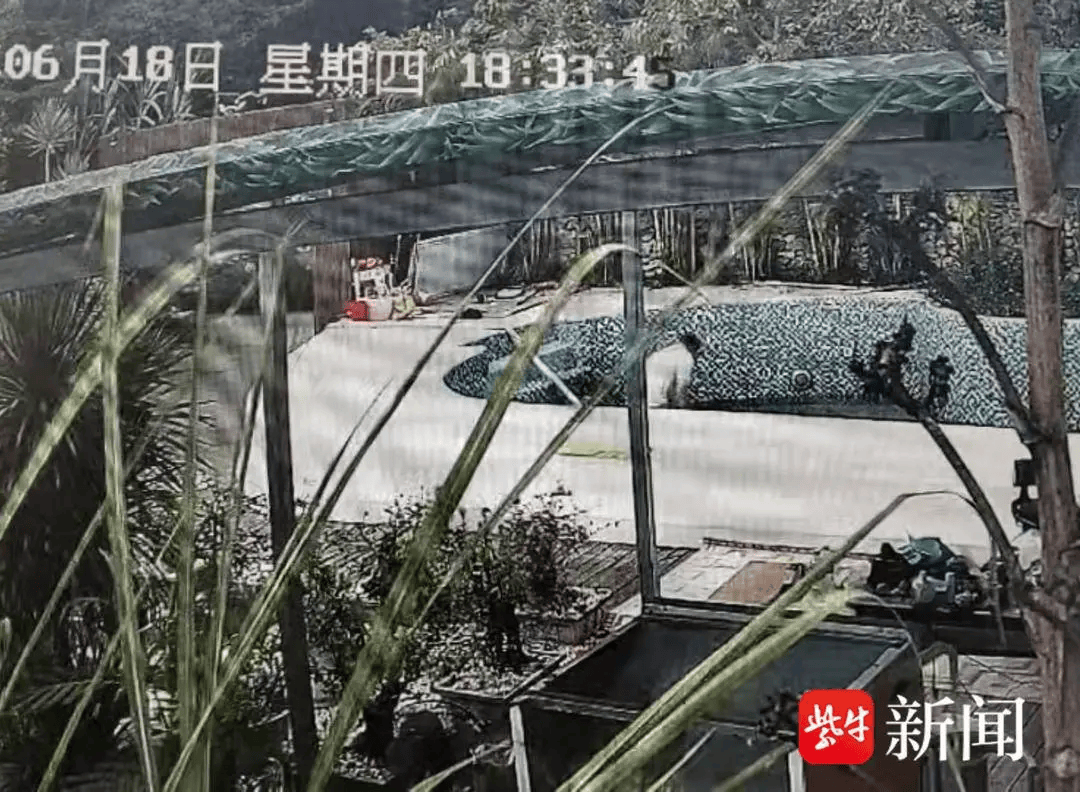 男子为母办葬礼前1天在泳池疑被电身亡，此前筹钱为母治疗癌症，才应邀经营三亚一民宿；触电源头或是抽水泵，当地：多部门已介入调查
