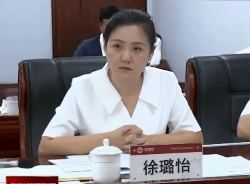 涉嫌严重违纪违法,徐璐怡被查
