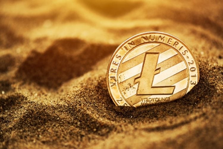 莱特币闪电(莱特币litecoin)