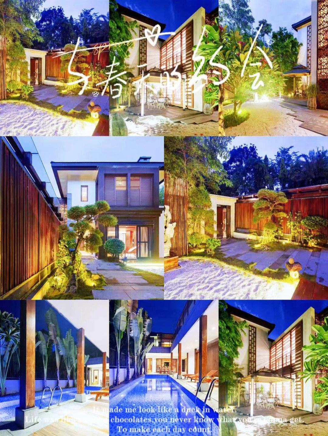 coinnice莱特币(莱特币今日最新价格行情)