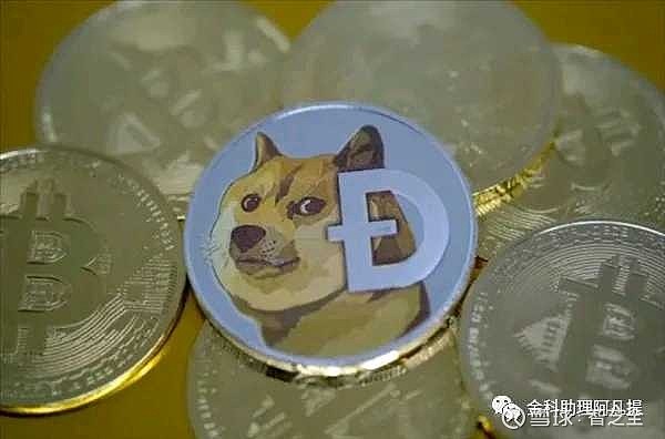 狗狗币与莱特币(狗狗币会超过莱特币吗)