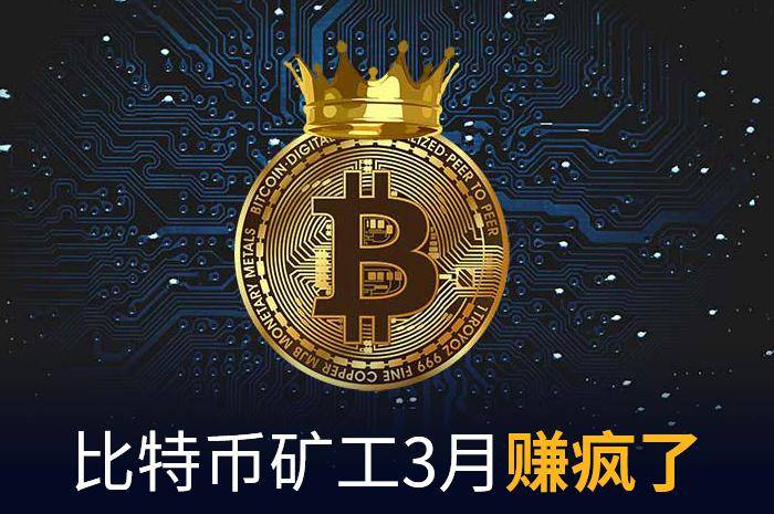 莱特币矿工(莱特币挖矿是什么意思)
