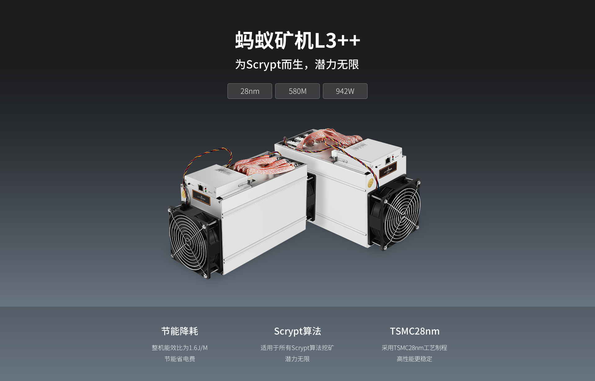 蚂蚁矿机莱特币(蚂蚁挖莱特币l5哪里有卖的)
