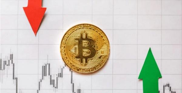 莱特币支持率(莱特币2021年)