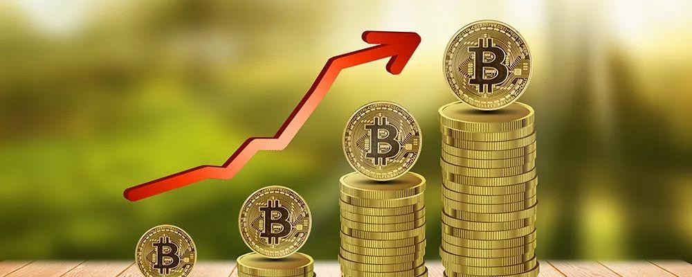 莱特币1000(莱特币2024年突破历史新高)