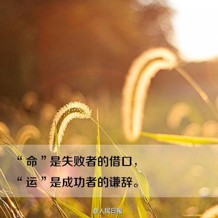 关于追求自由路莱特币的信息