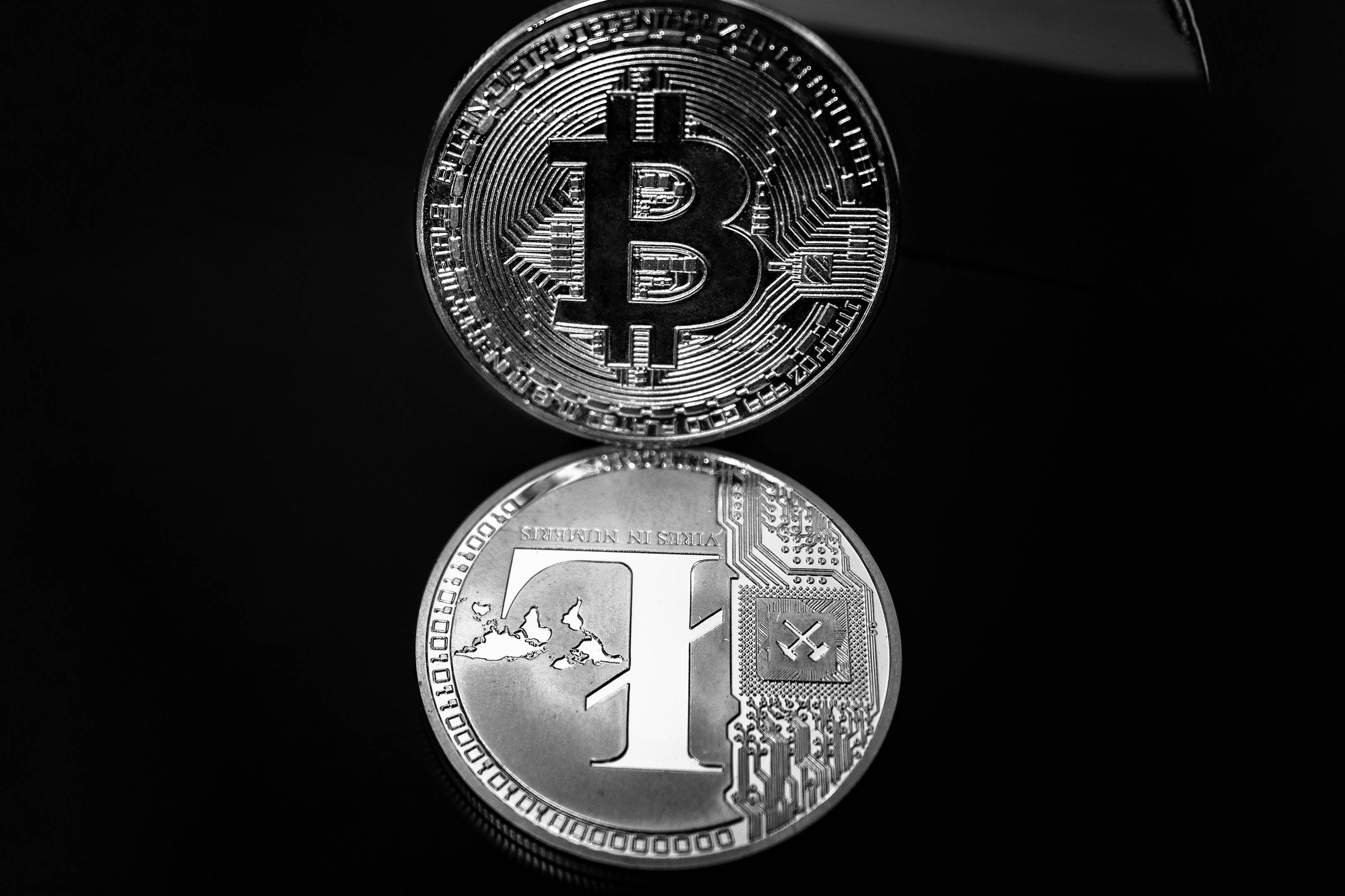 2011年莱特币价格(2011年莱特币发行价)
