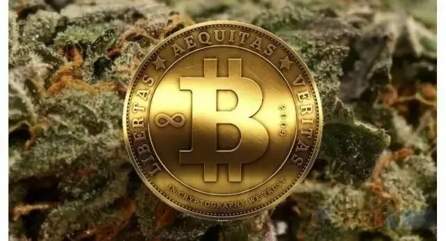 莱特币激活隔离见证(莱特币确认时间)