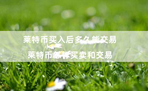 莱特币300(莱特币今日行情)