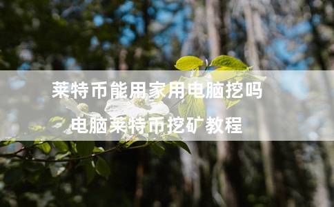 莱特币能挖多少币(莱特币在哪个矿池挖)