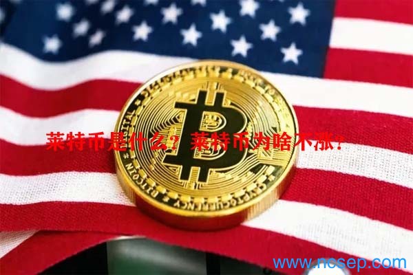 莱特币发行价格(莱特币发行价多少钱一个)