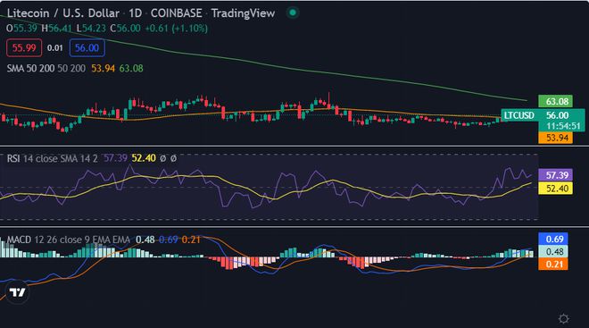 今天莱特币的价格(今日莱特币价格走势)