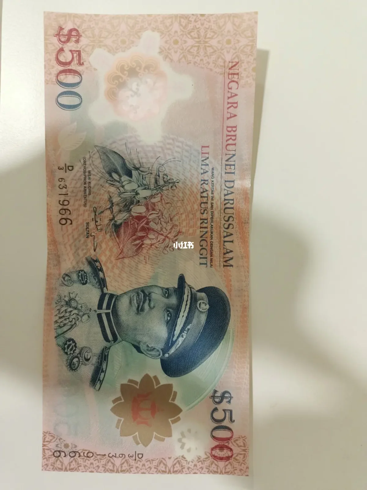 莱特币51%(莱特币交易官方链接app防失联入口正确地址中国)